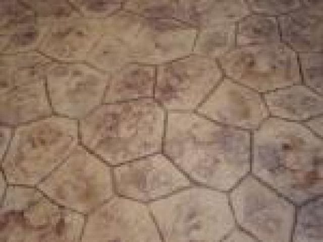 Gallery Image 27